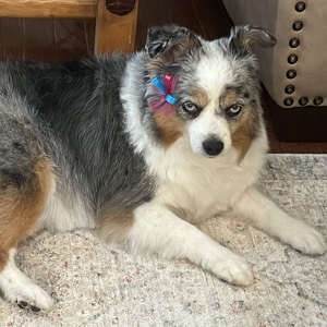 Fundraising Page: Barbara Gudelunas